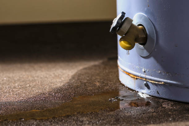 Best Carpet water damage restoration  in Clinton, PA