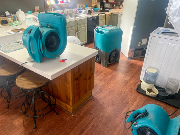 Best Ceiling water damage repair  in Clinton, PA