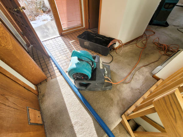 Best Water damage contractors near me  in Clinton, PA