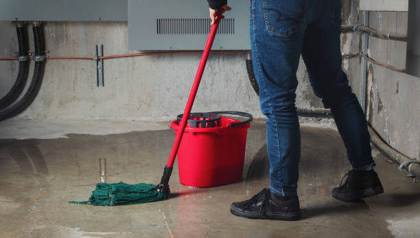 Best Residential water damage restoration  in Clinton, PA