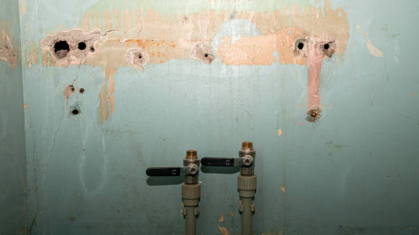 Best Professional water damage repair  in Clinton, PA